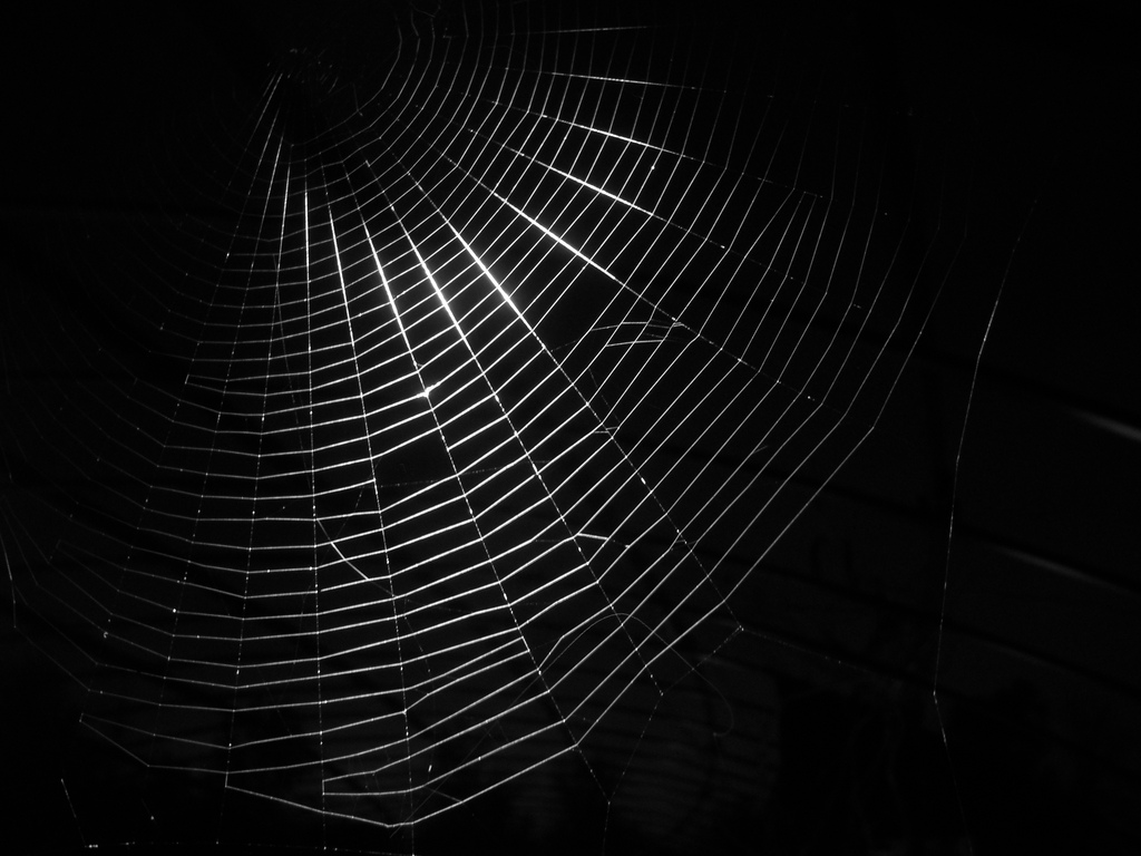 Discover the Secrets of the Dark Web: A Guide to Accessing Dark Web Links
