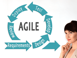 Agile Data Governance Agile Data Governance
